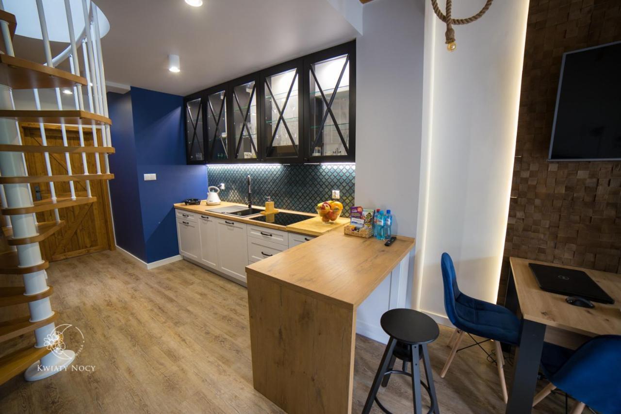 Apartamenty "Kwiaty Nocy" I "W Krainie Mchu" - 비스와 외부 사진