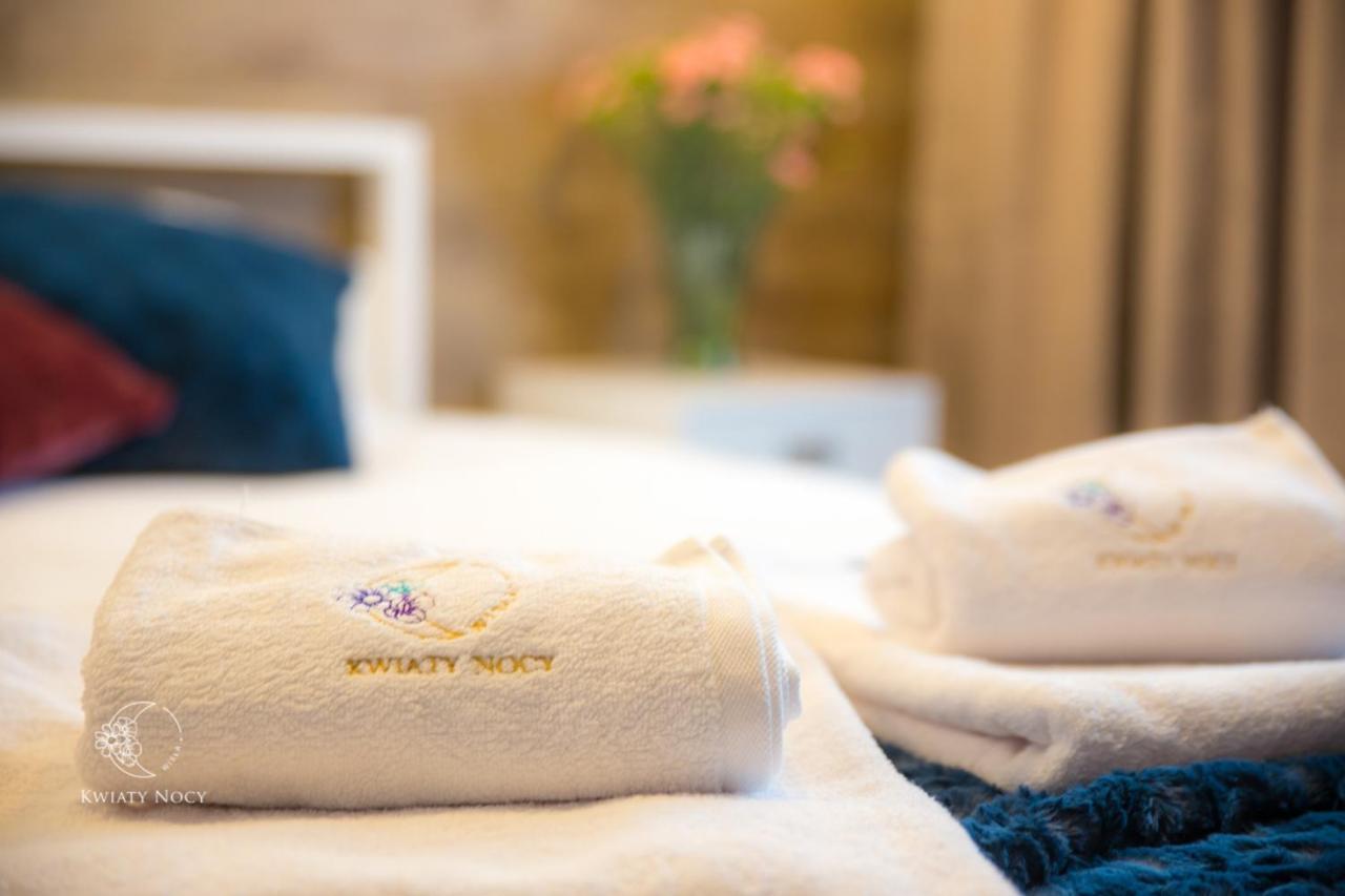 Apartamenty "Kwiaty Nocy" I "W Krainie Mchu" - 비스와 외부 사진